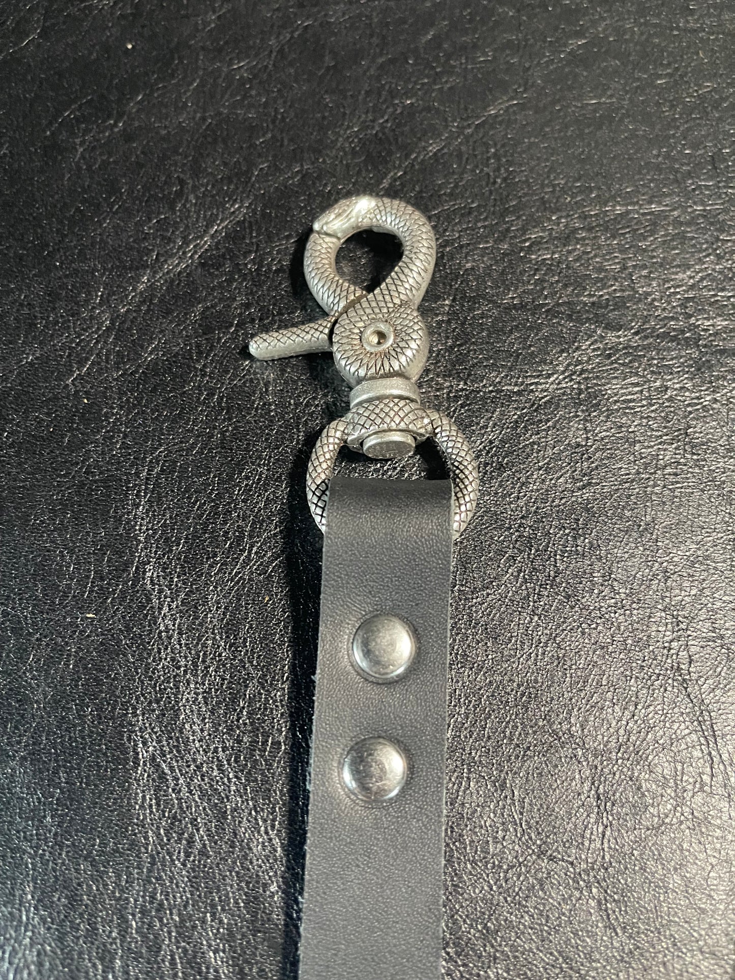 4ft Snake Leash 3/4in